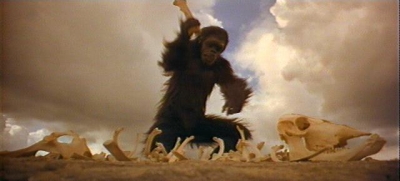 Monkey Shines.jpg
