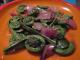 fiddleheads - 2.jpg