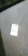 DSC_1506.jpg