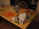 The vegetables are coming!  The vegetables are coming!