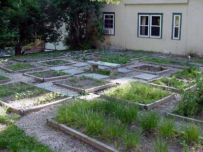 back yard... back yard...