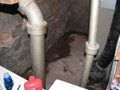 water defies your silly human cements and concretes! water defies your silly human cements and concretes!