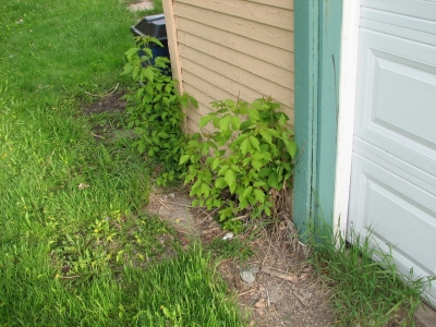 Grow. Grow. Grow. Grow.