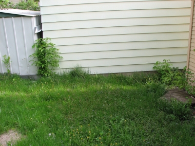 see that plant at left? see that plant at left?