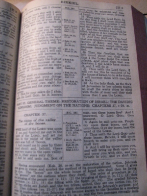 Taken March 23, 2008