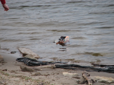 fire snuffed quickly