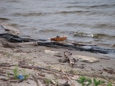 pitiful return to shore