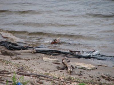 the eternal recurrence of the same