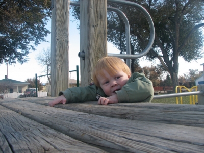 the groves of my youth