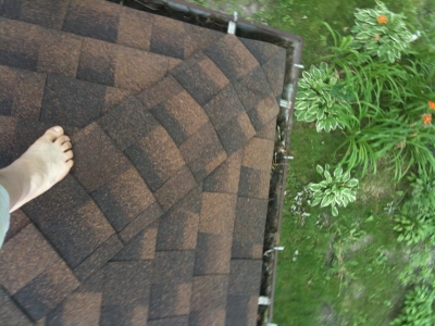 gotta clean those gutters again