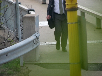 business class pants