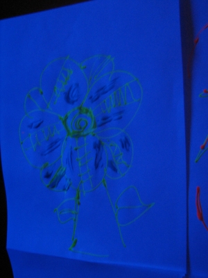 flower flower