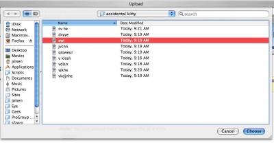 re-renamed_with_preview_off.jpg