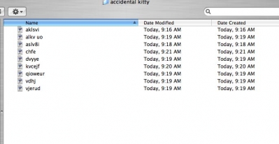 renamed-files.jpg