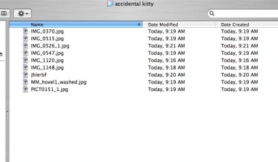 source-directory.jpg