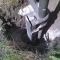 holes