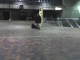 the end of the line is lonely