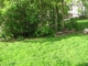 spring has sprung