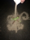 pouring out our libation, our lives flow, numerous as the grains of sand