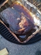 after eight hours