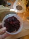 visceral beets