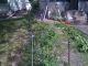 flower bed