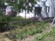 flower bed