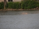 fire on water