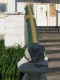 bust
