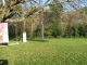 IMG_2961.jpg