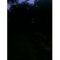 black dominates this photograph