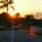 Animated Longboard