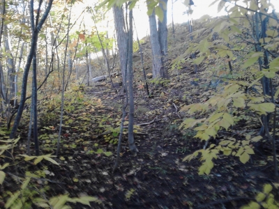 Trail continues. Trail continues.