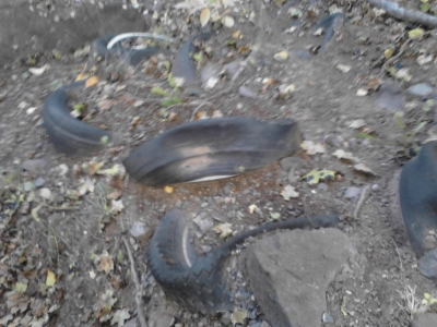 Buried tires. Buried tires.