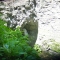 DSC00113.JPG