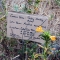 closeup_a_sign_1.jpg