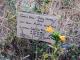 closeup_a_sign_1.jpg