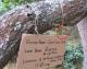 closeup_sign_2.jpg