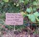 closeup_sign_3.jpg