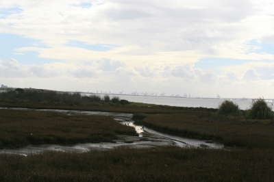 Dark day on the Bay Dark day on the Bay