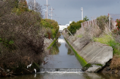long drain long drain
