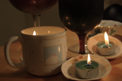 Teacup and seashells