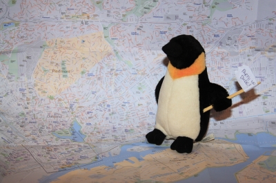 Oh where, O where will I go?