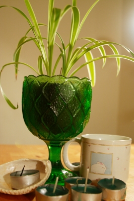 Wine goblet as plant holder!