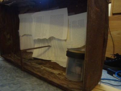 another view of the inside