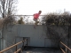 Dok H jumps.