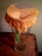 Trumpet flower, next day.