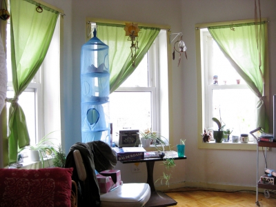 Stayed with BeetleBomb Stayed with BeetleBomb