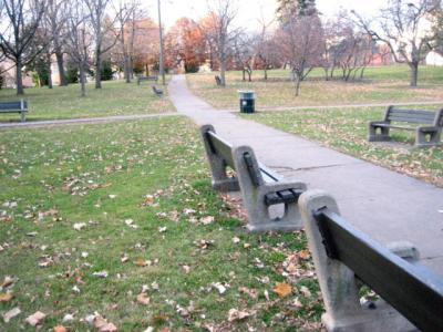 Seven Benches!
