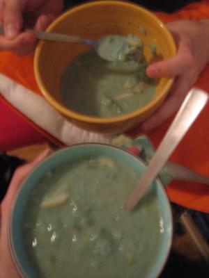 Spacebug and my mock bluebird soup